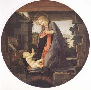 Sandro Botticelli Madonna in Adoration of the Christ Child oil painting picture wholesale